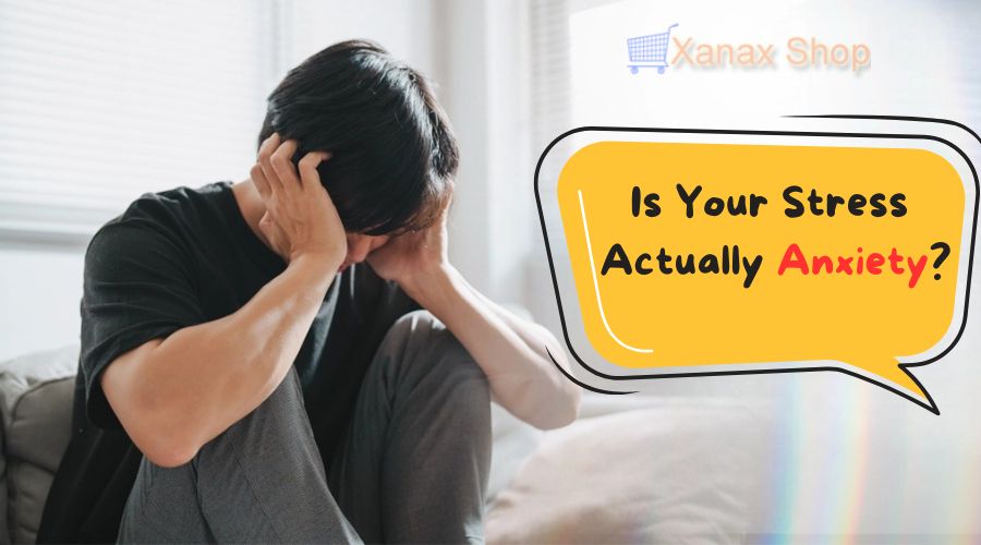 Is Your Stress Actually Anxiety? What You Need to Know