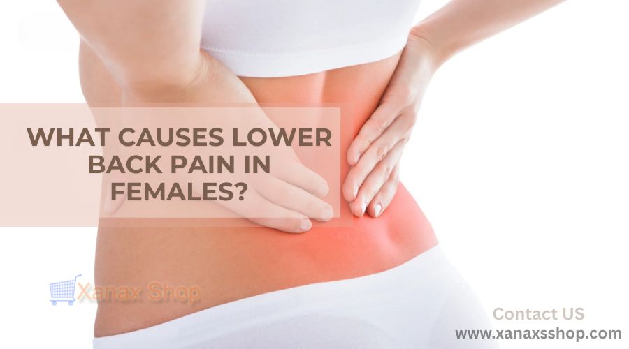 What Causes Lower Back Pain in Females?